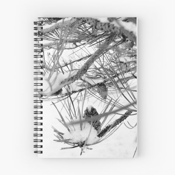 Item preview, SnowCone Pine Branches designed and sold by Rebecca Jane.