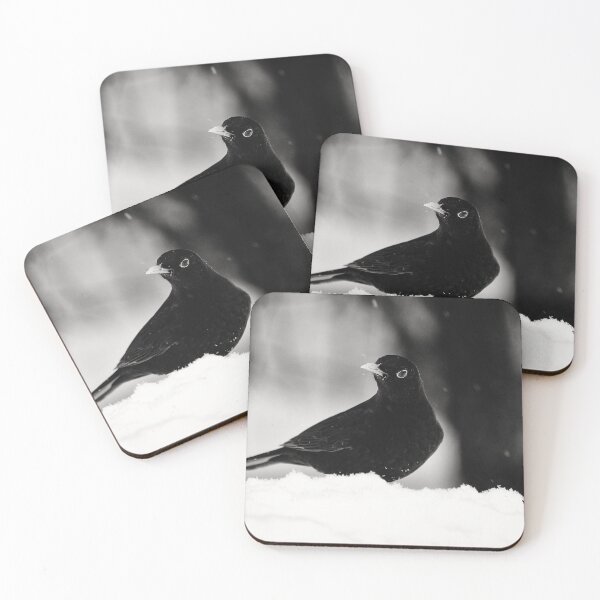 Item preview, Let's throw around. Eurasian blackbird bw designed and sold by Jouko Lehto Photography.