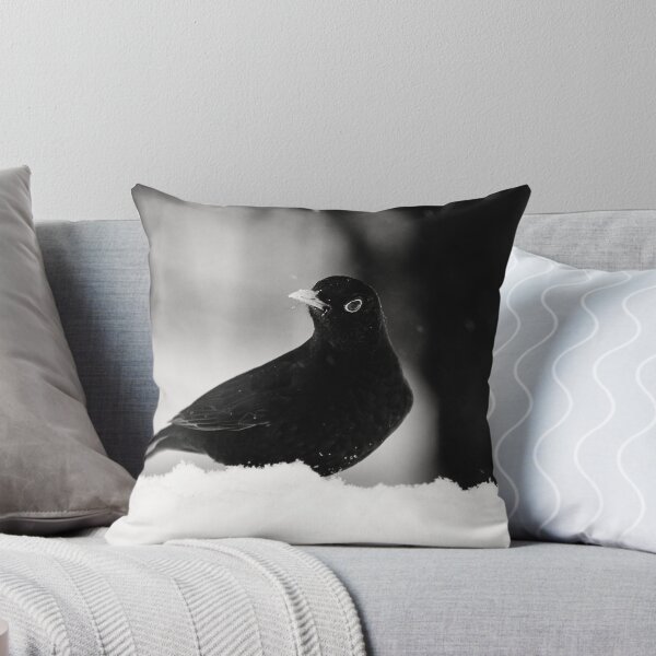 Item preview, Let's throw around. Eurasian blackbird bw designed and sold by Jouko Lehto Photography.