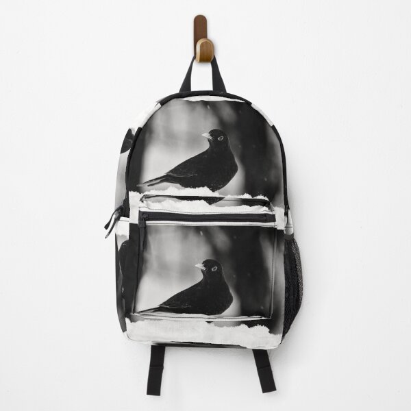 Item preview, Let's throw around. Eurasian blackbird bw designed and sold by Jouko Lehto Photography.