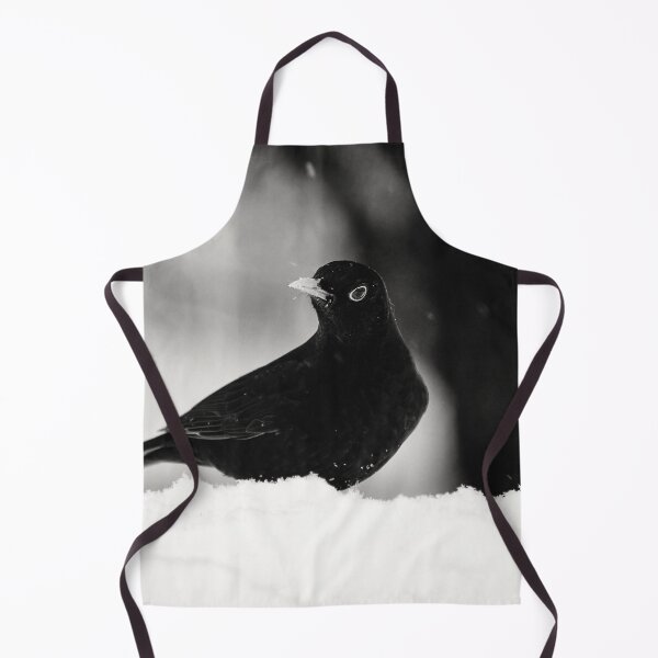 Item preview, Let's throw around. Eurasian blackbird bw designed and sold by Jouko Lehto Photography.