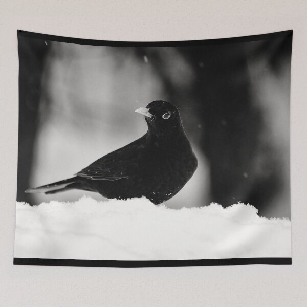 Item preview, Let's throw around. Eurasian blackbird bw designed and sold by Jouko Lehto Photography.