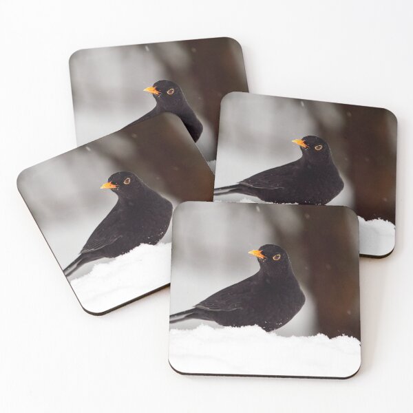 Item preview, Let's throw around. Eurasian blackbird designed and sold by Jouko Lehto Photography.