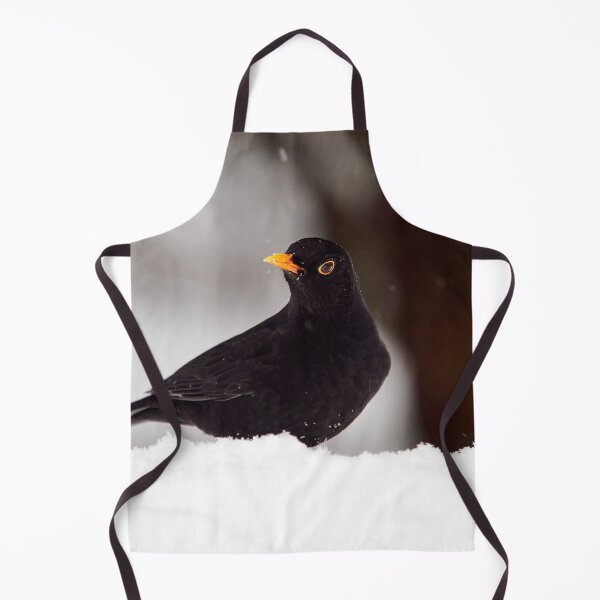Item preview, Let's throw around. Eurasian blackbird designed and sold by Jouko Lehto Photography.