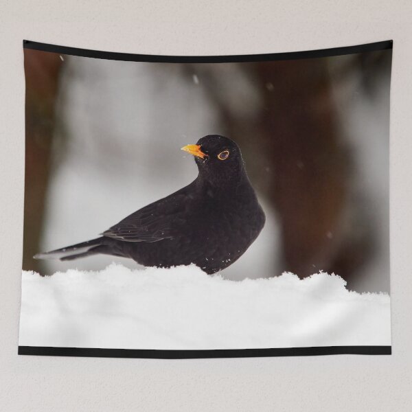 Item preview, Let's throw around. Eurasian blackbird designed and sold by Jouko Lehto Photography.
