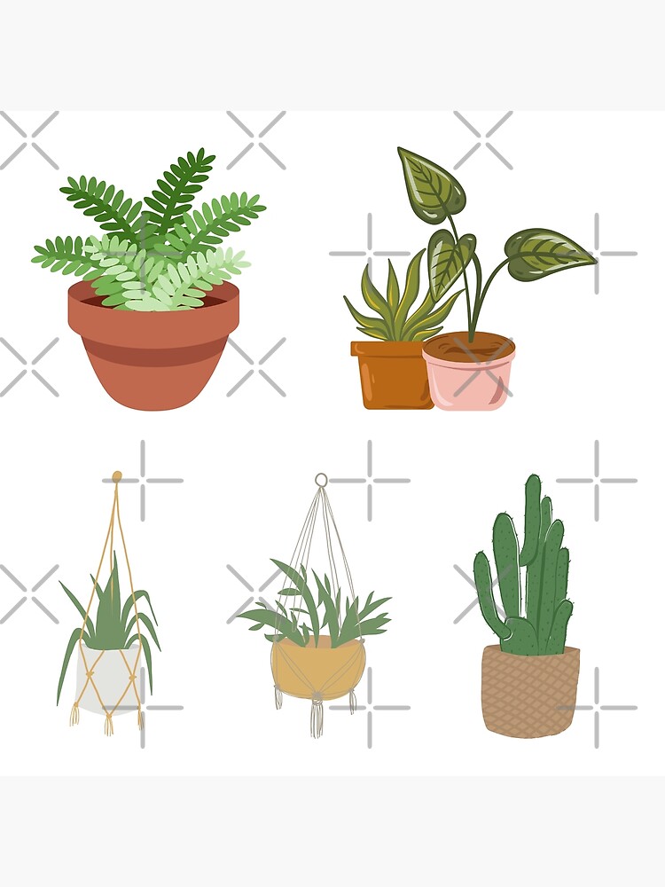 "House Plant Illustrated Collection" Poster for Sale by mplsstickers
