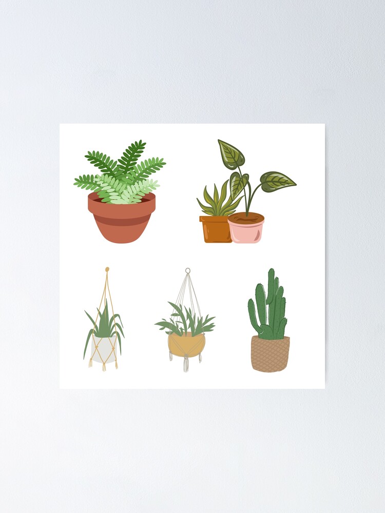 "House Plant Illustrated Collection" Poster for Sale by mplsstickers