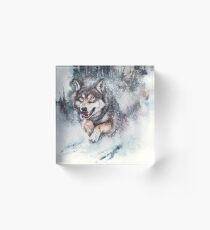 SnowStorm Acrylic Block