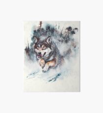 SnowStorm Art Board