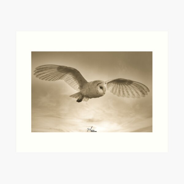 Item preview, The Ghost of the countryside designed and sold by PhotographMassa.