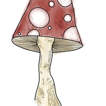 Artwork thumbnail, Magic Mushroom by Rae-Rabbs