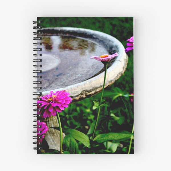 Item preview, Birdbath and Zinnias designed and sold by Luke12Designs.