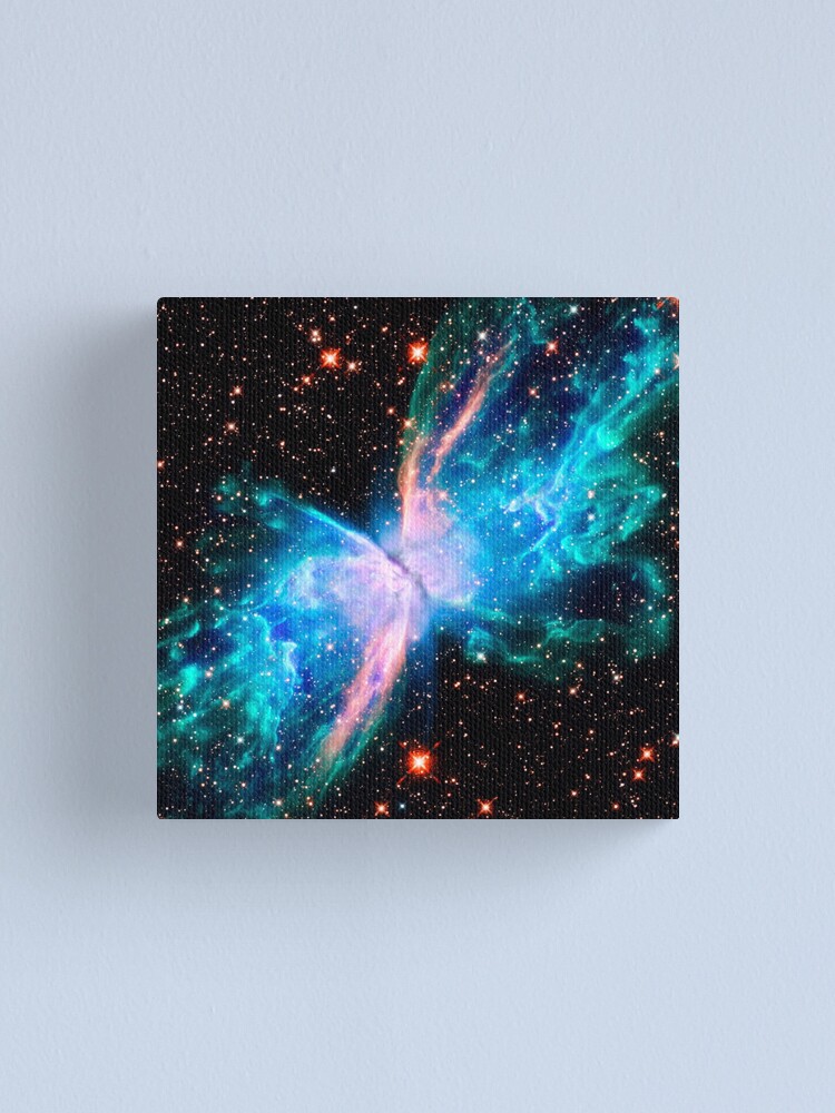 Butterfly Nebula top Canvas Print