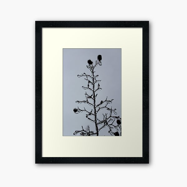 Item preview, Icy Crepe Myrtle designed and sold by Lisa Abodeely.