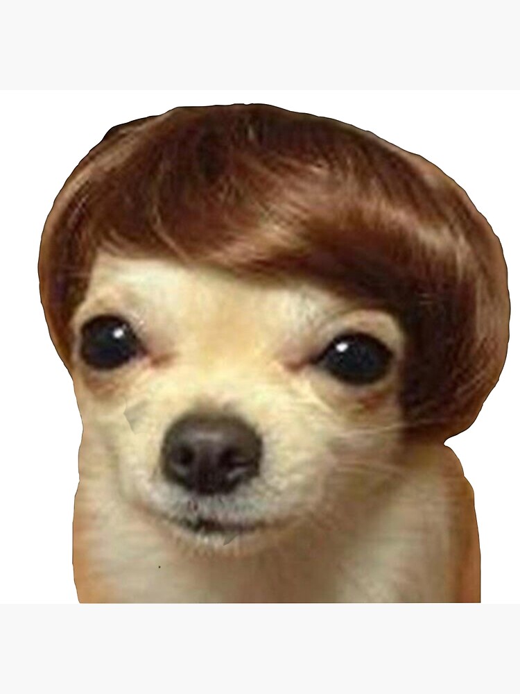 Meme Dog With Wig Model Poster