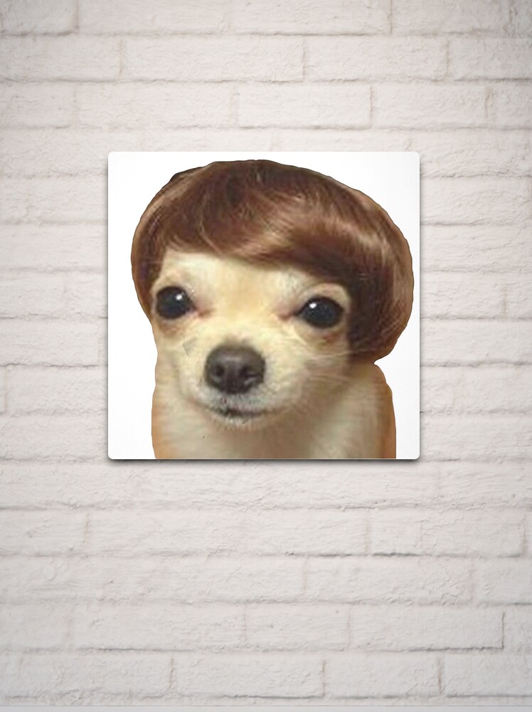 Meme Dog With Wig Model Metal Print