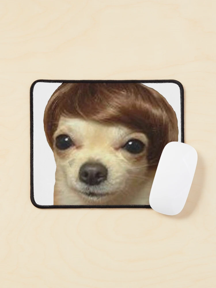 Meme Dog With Wig Model