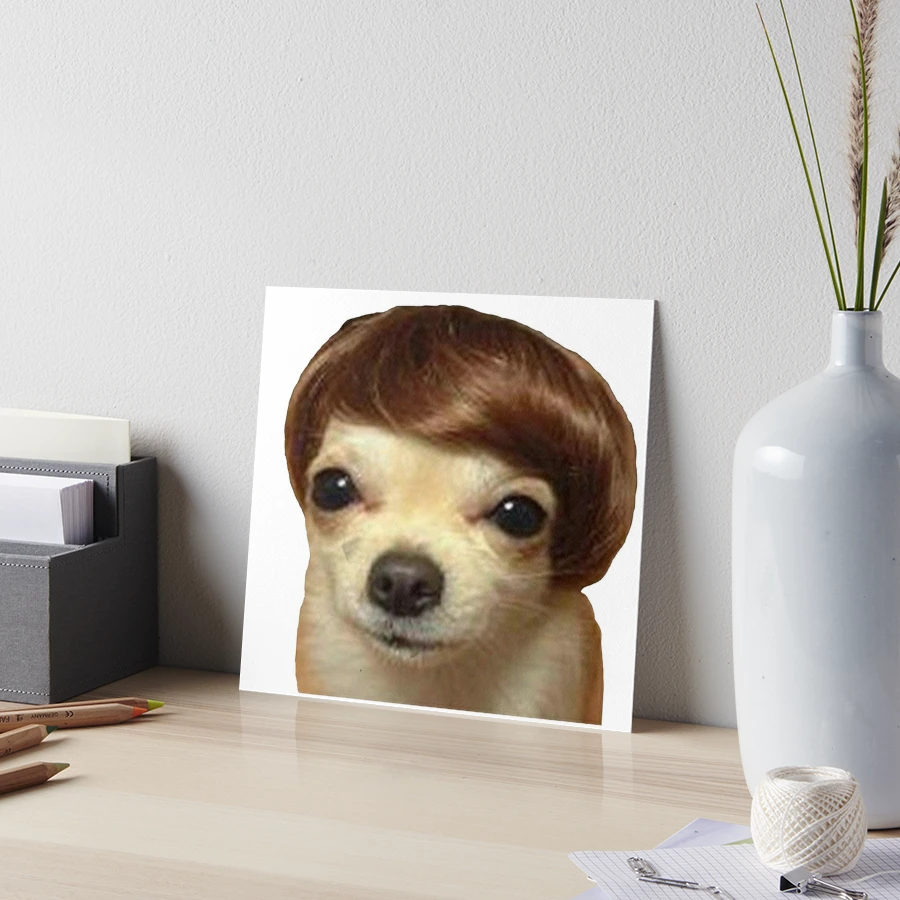 Meme Dog With Wig Model