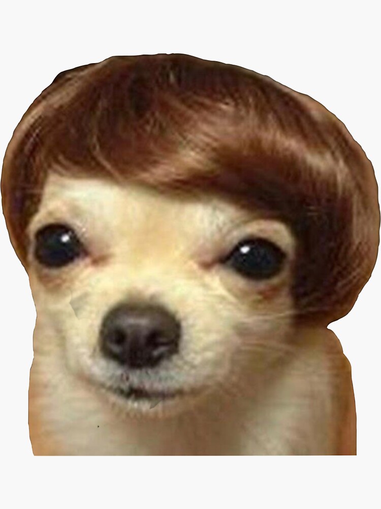 Meme Dog With Wig Model Sticker