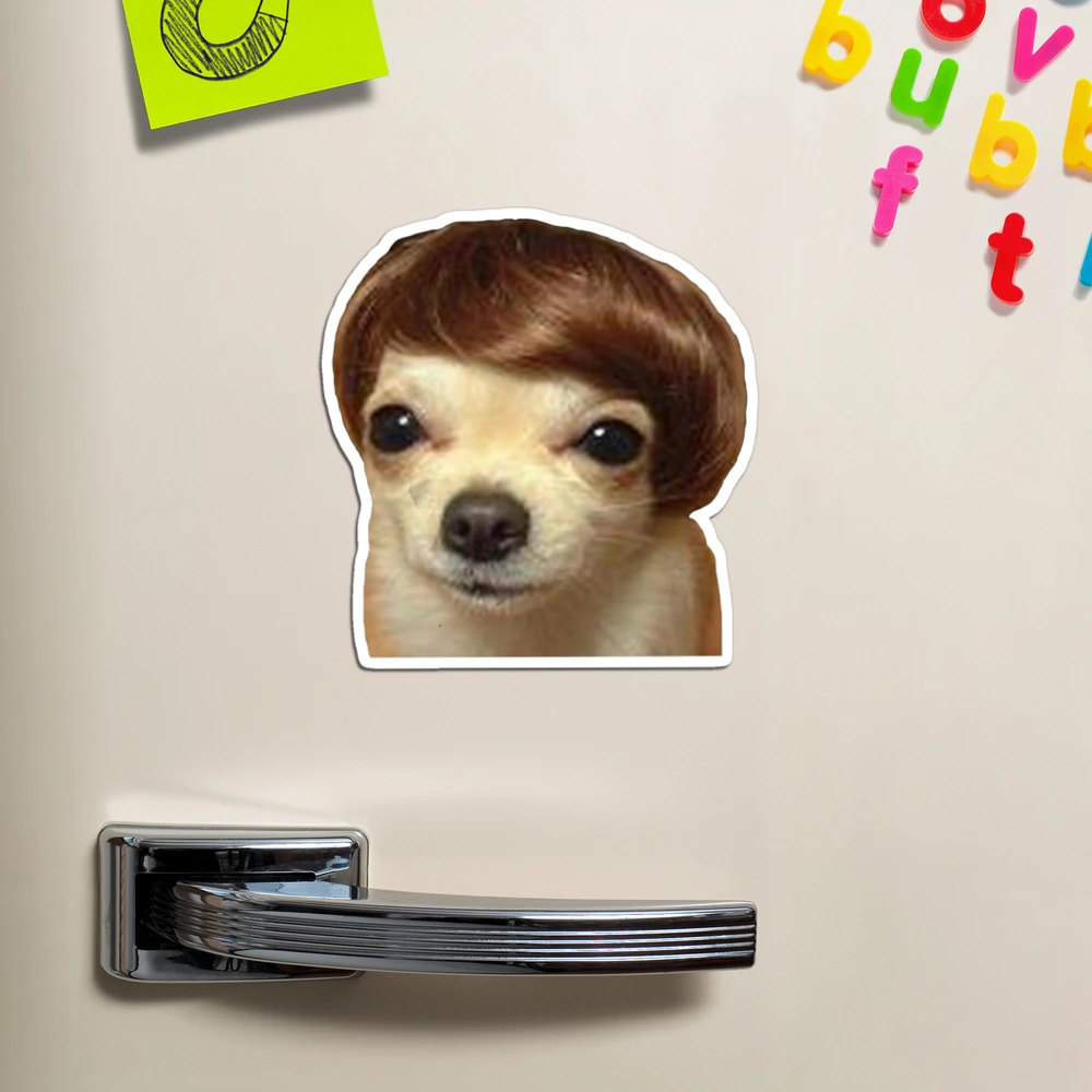 Meme Dog With Wig Model