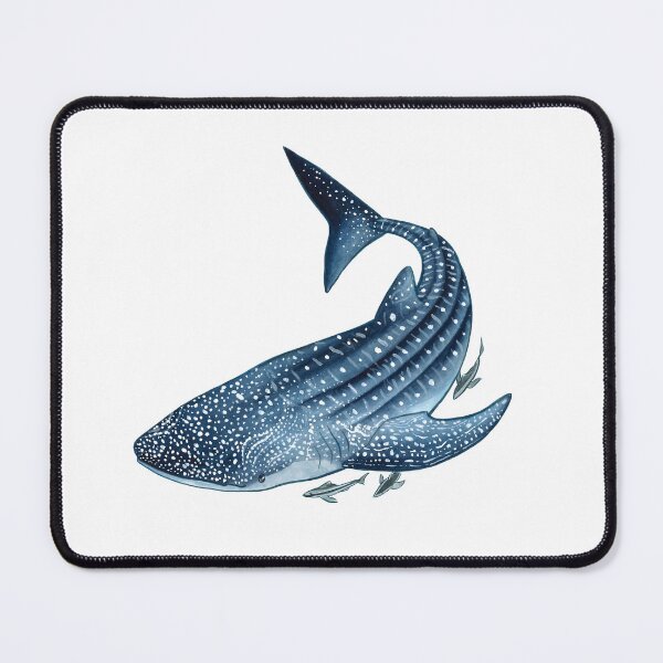 Item preview, Whale Shark designed and sold by Amy-Illustrates.