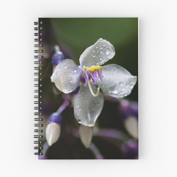 Item preview, Rain drops on Small Orchid Flower designed and sold by ADM  Photography.