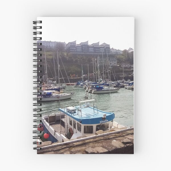 Item preview, IIfracombe Port designed and sold by longford.