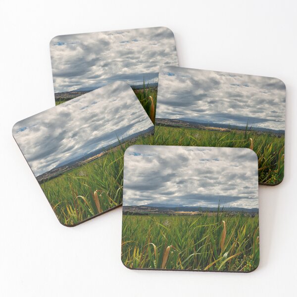 Item preview, Wetlands designed and sold by andreisky.