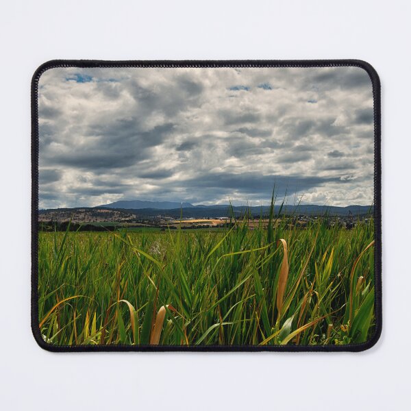 Item preview, Wetlands designed and sold by andreisky.