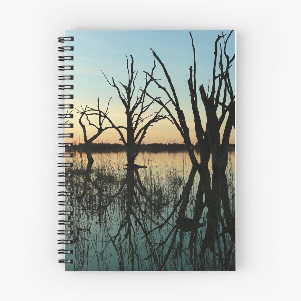 Item preview, Lake Bonney designed and sold by Robert Sturman.