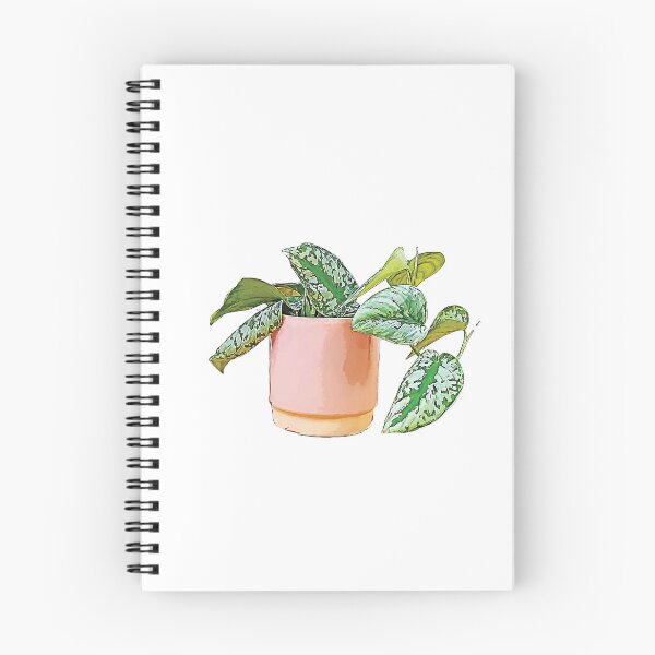 Aperçu de l'œuvre Plante grimpante à feuilles persistantes créée et vendue par PlartCreatives.