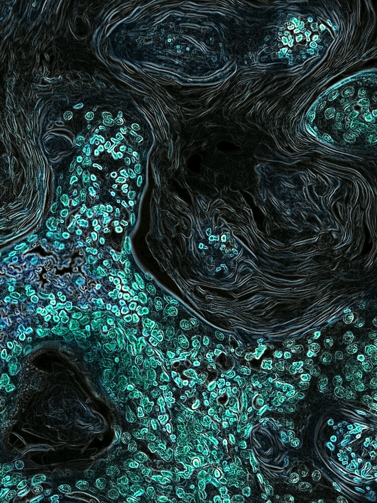 "Bioluminescent algae and cells" Poster for Sale by AvasMix Redbubble