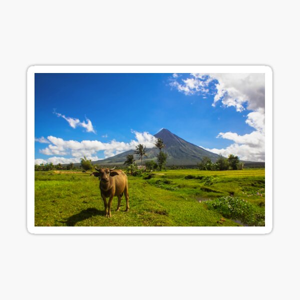 "Rice Field with Mayon Volcano" Sticker for Sale by Redbubble