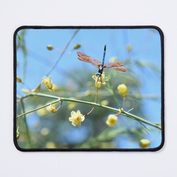 Item preview, Dragonfly Dream designed and sold by DonnaM.