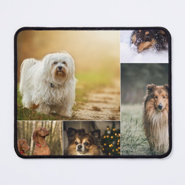 Item preview, Classical Dogs Montage Set #9 designed and sold by Krispsm.