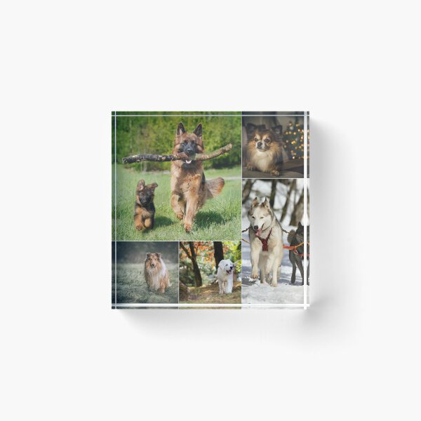 Item preview, Classical Dogs Montage Set #10 designed and sold by Krispsm.