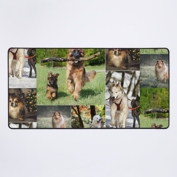 Item preview, Classical Dogs Montage Set #10 designed and sold by Krispsm.