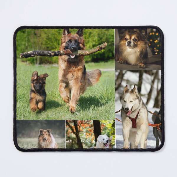 Item preview, Classical Dogs Montage Set #10 designed and sold by Krispsm.
