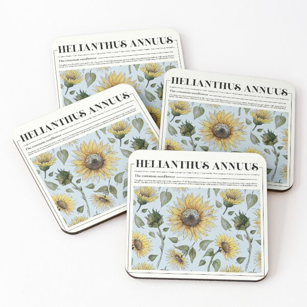 Item preview, Sunflower Flower Scientific Info Art Print designed and sold by SmallOrbit.