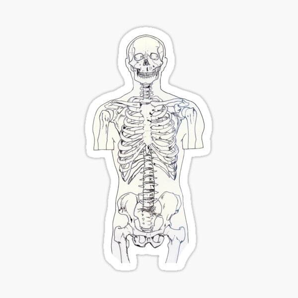 Skeleton Sticker