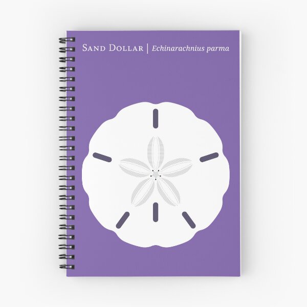 Item preview, Nature: Sand Dollar designed and sold by Christopher Dina.