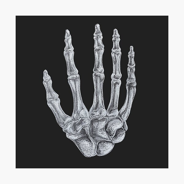Item preview, Skeleton Hand designed and sold by alterlithium.