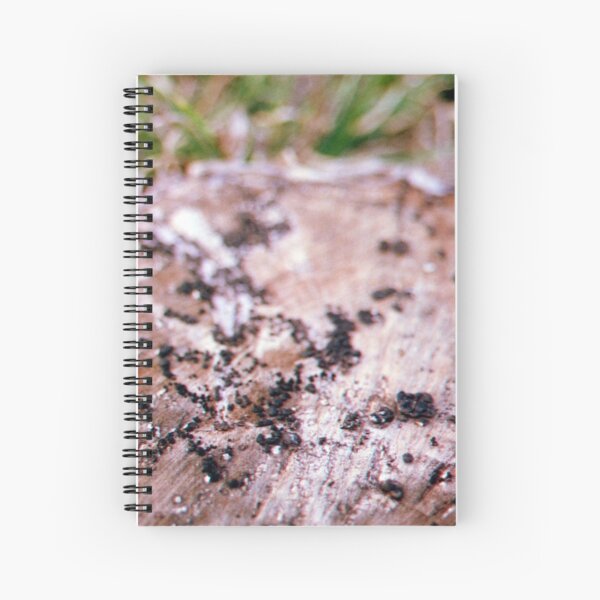 Fungi Spiral Notebook