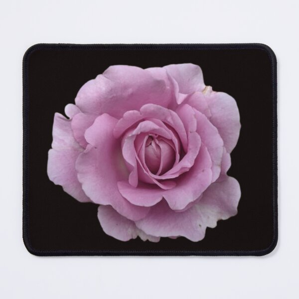 Item preview, Lavender Rose designed and sold by TinaDonovanArt.