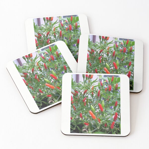 Item preview, Chilli designed and sold by Saiamrita123.
