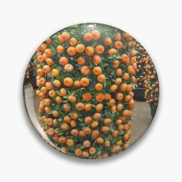 Item preview, Orange designed and sold by Saiamrita123.