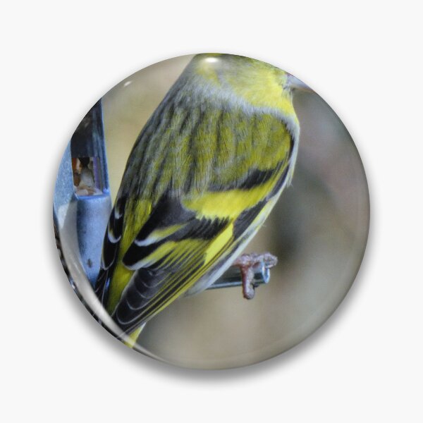 Item preview, goldfinch designed and sold by KathleenDawson.