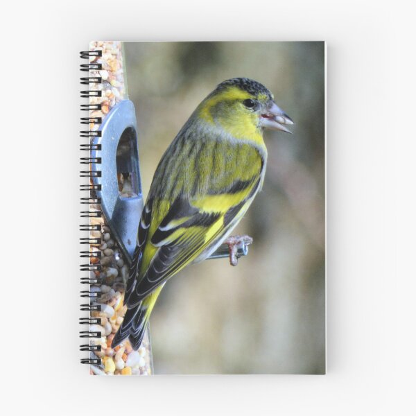 Item preview, goldfinch designed and sold by KathleenDawson.