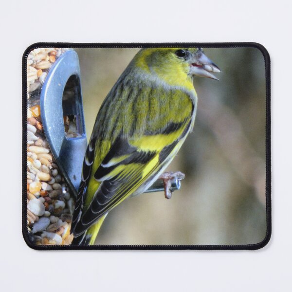 Item preview, goldfinch designed and sold by KathleenDawson.