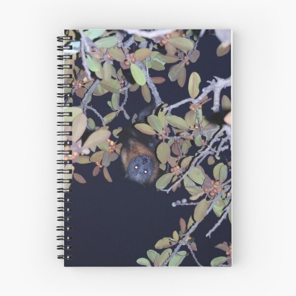 Item preview, Grey-headed Flying Fox designed and sold by kirstybush.